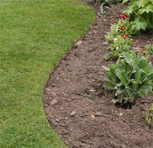 How to Use a Lawn Edger